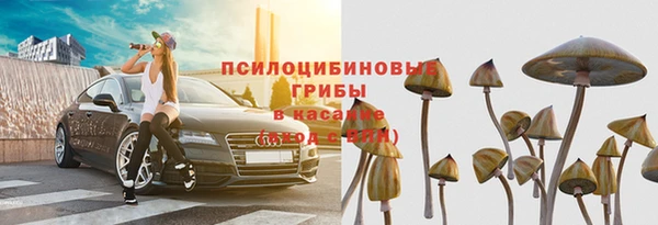 скорость Снежногорск