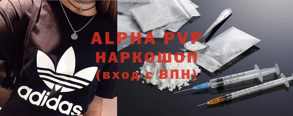 apvp Верея