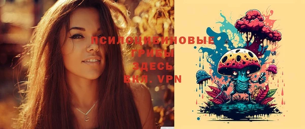 spice Верхний Тагил