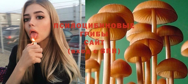 spice Верхний Тагил