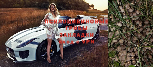 apvp Верея